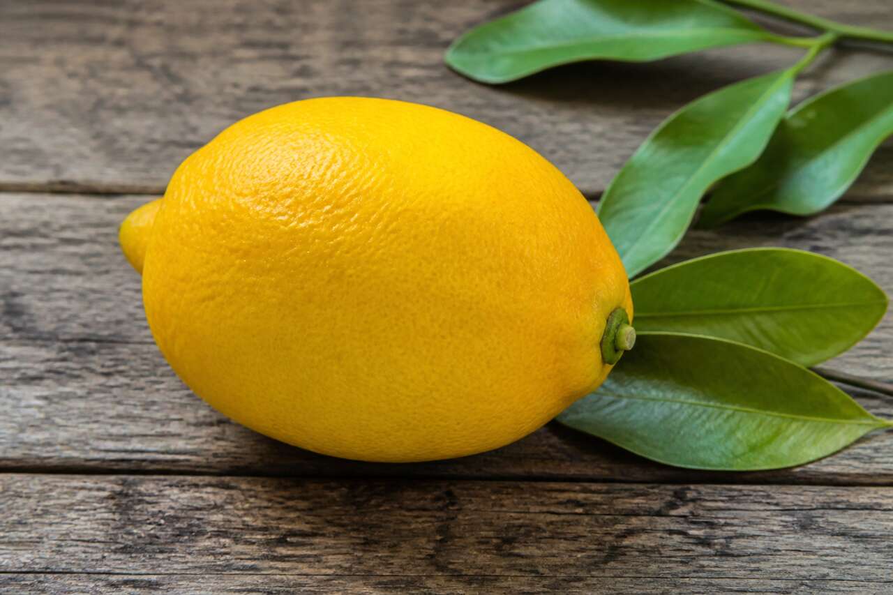 Le citron : un fruit aux mille astuces